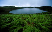 /album/fotos-mi-lindo-pais/laguna-el-junco-galapagos-ecuador-jpg/