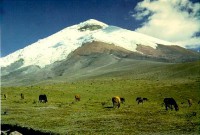 /album/ecuador-mio-/cotop4-jpg1/