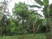 /album/ecuador-mio-/a10151398-10152066016083613-872194791-n-jpg2/